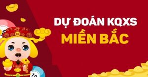 Dự đoán MB 12/12