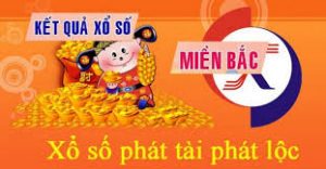 Dự đoán xổ số 15/11